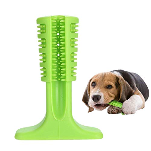 XIN-JI Cepillo de Dientes Perro - Palo Juguete para Masticar - Limpiador Dientes Perros - Perros - Regalo para el Amante de Las Mascotas (Verde)