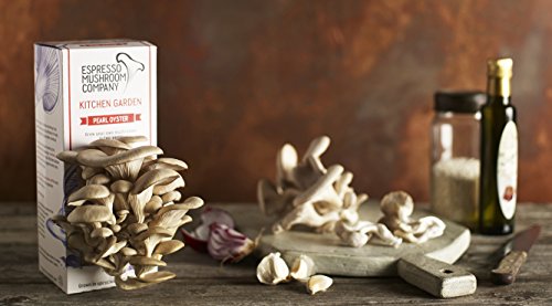 Austernpilze-Gemüsegarten zum selber Züchten – Das Kitchen Garden- Anbau-Kit - 3