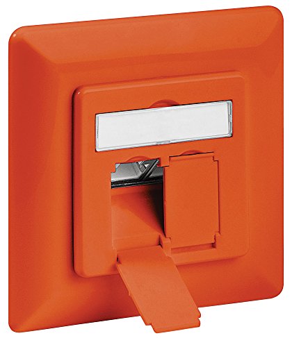Preisvergleich Produktbild intellinet 771658 Cat6A-Unterputzdose (2 Ports / FTP) orange