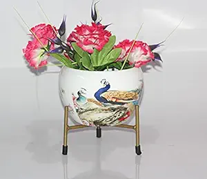 Elegant Crafts India Indoor Desk Planlower Pot Free Standing with Rust Free Metal Stand Pack of 1 Width X Height 06X06 Inches (White with Peacock Design)