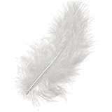 Weiße feder Weiße feder