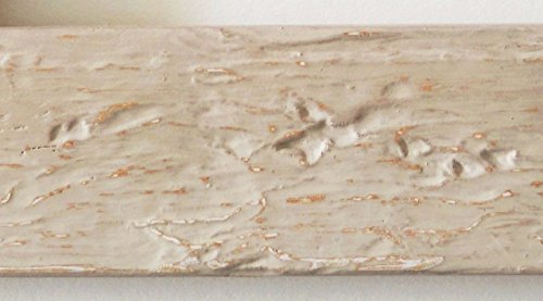 Spiegel Wandspiegel Badspiegel – Parma dkl. Beige 3,9 – handgefertigt – 200 Größen zur Auswahl – Modern, Vintage, Shabby – 50 x 60 cm AM - 2