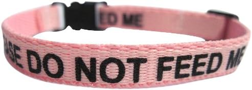 Please Do Not Feed Me Collar Pink