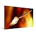 Produktbild Premium Textil-Leinwand 120 x 80 cm Quer-Format Darts. Konzentration - Sport - Spannung | Wandbild, HD-Bild auf Keilrahmen, Fertigbild auf hochwertigem Vlies, Leinwanddruck von Boris Robert