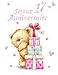 Produktbild Joyeux Anniversaire 17: French Version, Happy 17th Birthday, Notebook, Journal, Dairy, 185 Lined Pages, Cute Teddy Bear Themed Birthday Gifts for 17 ... or Granddaughter, Book Size 8 1/2" x 11"