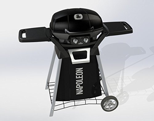Preisvergleich Produktbild Napoleon Travel Q Stand
