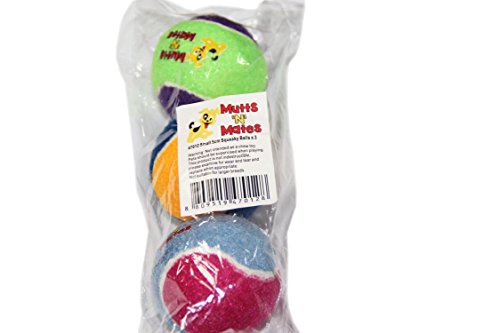 Small-Squeaky-Dog-Balls-by-MuttsNMates-super-bouncy-small-dogs-toy-3-Pack