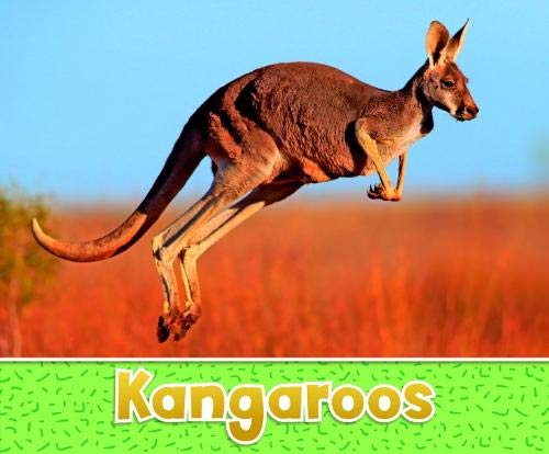 Preisvergleich Produktbild Kangaroos (Pebble Plus: Australian Animals)