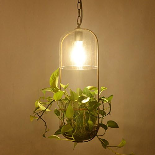 Limin chandelier American rural Plant chandelier glass plant Fish tank