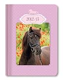 Collegetimer Mein Pferdekalender - A6 Schülerkalender 2012/2013 by
