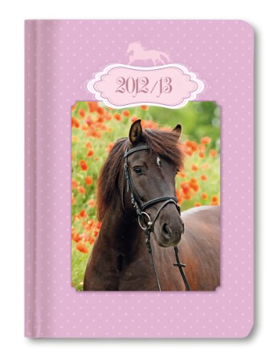 Collegetimer Mein Pferdekalender - A6 Schülerkalender 2012/2013