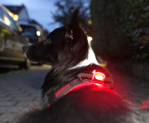 Profex Silikonleuchtenset LED, rot,weiß, 62565 - 4