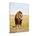Produktbild Premium Textil-Leinwand 80 cm x 120 cm  hoch, Wer ist hier der Chef Stolzer Löwe mit prächtiger Mähne, | Wandbild, Bild auf Keilrahmen, Fertigbild ... Reserve, Kenia, Afrika (CALVENDO Tiere)