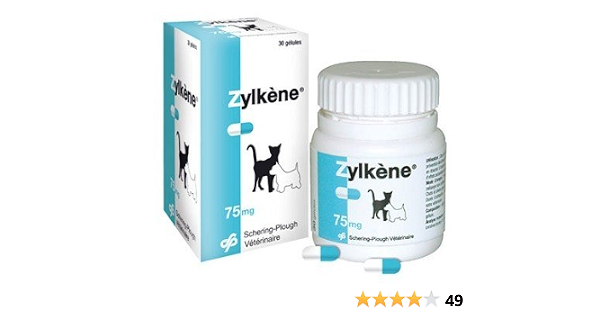 Zylkene 75 Mg 30 Gelules Anti Stress Pour Chat Et Petit Chien 10 Kg Amazon Fr Animalerie