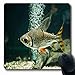 Produktbild Luancrop Mousepads Wasser-Aquarium-Fisch-Natur-wild lebende Tiere längliches Unterwasserspiel Mousepad rutschfeste Gummimatte