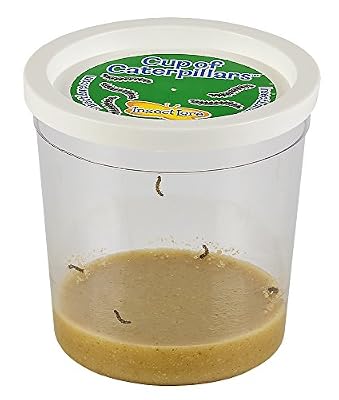 Insect Lore Coupon de recharge Caterpillar pour Ensemble de jardin de papillons - Recharge 5 chenilles de papillon + nourriture