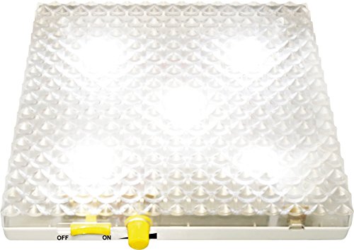 Preisvergleich Produktbild EDUPLAY 120419 Leuchtpad