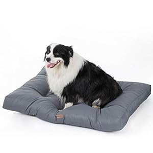 Bedsure Cama para Perro Grande Impermeable L – Colchón Perro Lavable Suave – 91x68x10 cm,Gris,L
