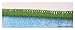 ING-10075-Carpet Original Brand DISNEY For Children Cm 170x100 - Farah1970 #