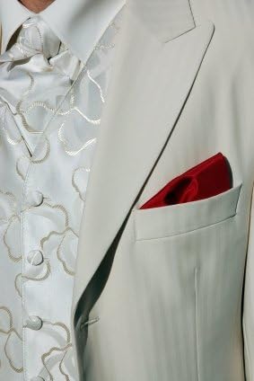 Silk &amp; Satin stain remover tissues - Ideal for weddings [Kitchen &amp; Home]
