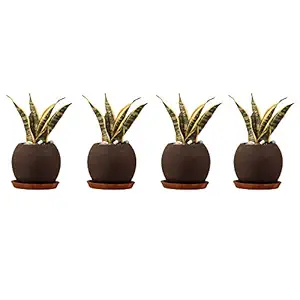 Lasaki Globe Ceramic pots with Pot Stand for Indoor, Outdoor, Garden, Balcony, Plants, Planters, Flower Pots, Gamla Succulent Pot (Pot: Black, Plate: Antique cir002) Set of 4