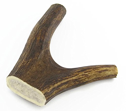Naturally-Shed-All-Natural-Red-Deer-Antler-Dog-Chew--Small