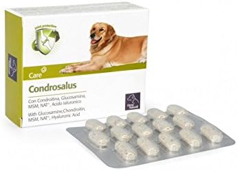 Camon condrosalus Reinforcement and Protection of cartilage Especially for Puppies and Dogs Elderly. Pack of 60 Tablets