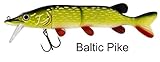 Westin Köder Mike the Pike 20cm 70g , Gummifische für Hecht, Zander, Wels, Hechtköder, Zanderköder, Wallerköder, Angelköder zum Hechtangeln, Wallerangeln, Zanderangeln, Farbe:Baltic Pike