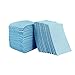 Produktbild AOLVO Hund Pee Pads, Katzenstreu, stark saugfähig Anti Bakterien einen auslaufsicheren geruchabweisend Pet Puppy Trainingsunterlagen/Pads Töpfchen Windeln für Hunde und Katzen, zufällige Farbe (10/50/100 Stück), Large