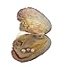Produktbild REAOK Süßwasser Zuchtperle Oval Oyster Pear Perlen, Austern mit Perle Innen, Jahrestag Hochzeit für Frauen Damen 6–7 mm 7,5–8 mm, Perle, 6-7mm