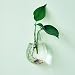 Produktbild Waterdrop Form Glaswand hängende Blumen Vase Pflanzen Flasche zu Hause Dekor