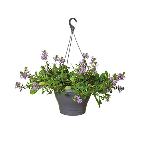 elho Corsica Hängeampel 30cm – Anthrazit - 2