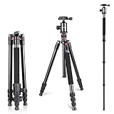 2-IN-1 TRIPOD: Kann als Einbeinstativ verwendet werden und bei der Beseitigung eines Beins in den Alpenstock umgewandelt werden