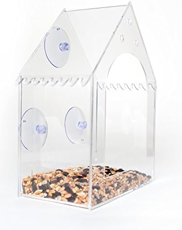 dill and mint Window Bird feeder - strong acrylic plastic feeder with suction cups for close up bird watching whilst feeding