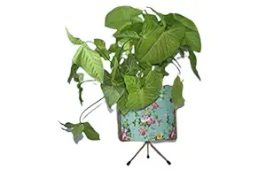 Pottery Studio, Designer Plant Pot with Stand, for Your Home Garden // Balcony Garden // Home Dcor // Office // Hotel // Bar // Office_(Pack of 2)_(PS-PLANTER-04)