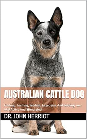 blue heeler feeding chart