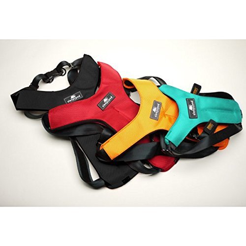 Sleepypod Clickit Sport Utility Safety Harness Robin Egg Blue Large by Clickit Sport Harness