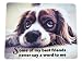 Produktbild Jammer nicht, lebe! Mauspad Best Friend | Maus Pad 24cm x 19cm | Qualitätsdruck mit Oberflächenschutz - Made in Germany | Das Mousepad Tierliebhaber