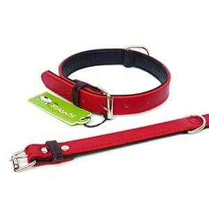 The Paws – Collar para Perro, de Piel