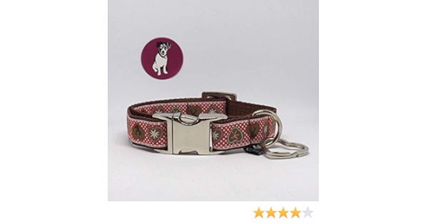 gucci dog collar amazon