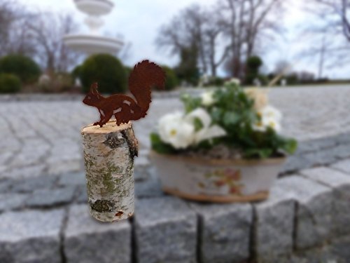 Eichhörnchen (Rostdeko) - 6