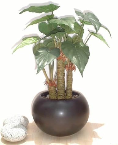 17" Philodendron Palm, Artificial Plant (Without Pot)