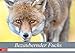 Bezaubernder Fuchs - ein Freund auf leisen Sohlen (Wandkalender 2019 DIN A3 quer): Ein wilder Fuchs - 12 großartige Fotos. (Monatskalender, 14 Seiten ) (CALVENDO Tiere) by 
