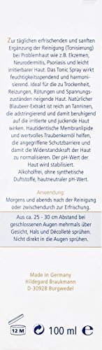 Hildegard Braukmann 24h Solution Hypoallergen femme/women, Tonic Spray Anti-Irritativ, 1er Pack (1 x 100 ml) - 5