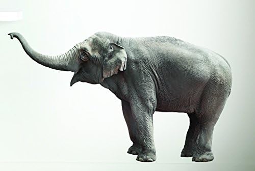 KEK Amsterdam 58 x 100 cm "Safari Friends Elephant" Wall Sticker