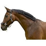 Kerbl Kunststoff Longierhalfter, Schwarz