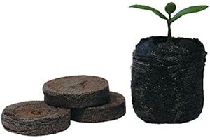 Jiffy 38mm Peat Plug (Box of 1000)