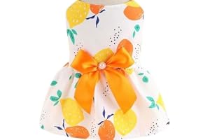 PETANGEL Small Girl Dog & Cat Summer Dress with Lovely Bow Pet Apparel Puppy Dress Birthday Pet Apparel Dresses Frock Dresses for Cavalier King, Frenchi, etc (Size: 2XL, Bust:55cm)