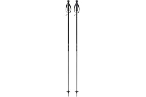 Fischer OneWay GT18 Flame/Vapor All Mountain Alpine Ski Poles Aluminium