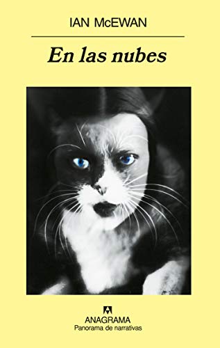 En las nubes (Panorama de narrativas)